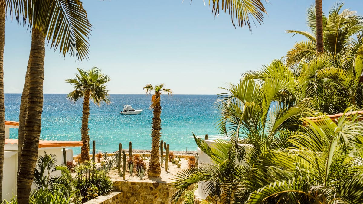 Win a trip for 2 to Cabo San Lucas