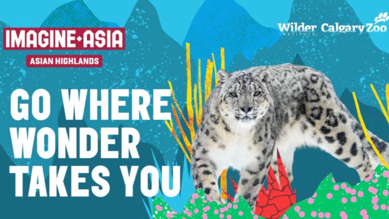 Win Four Tickets to Explore Asian Highlands at the Zoo