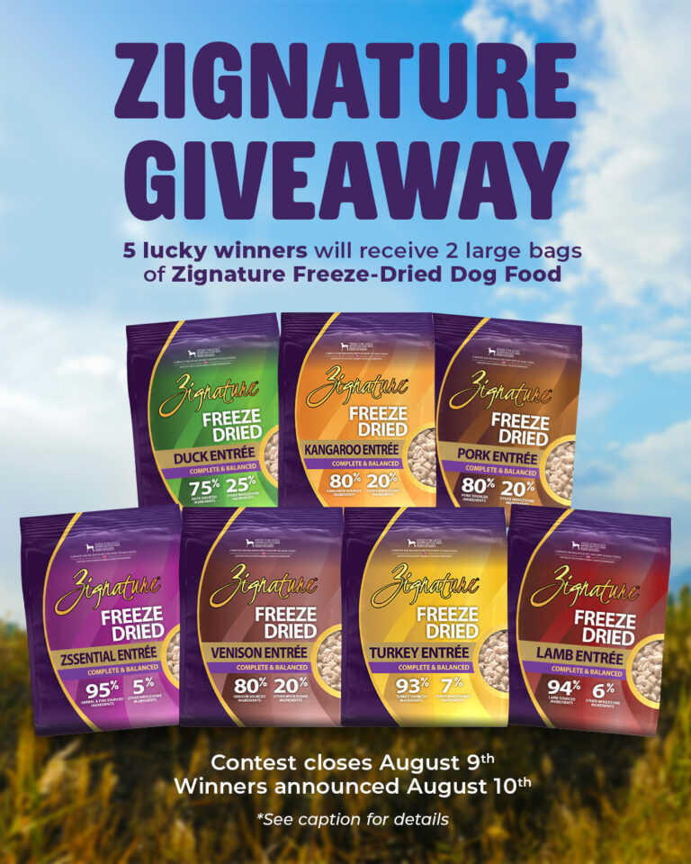 Happy Dogust To Celebrate National Dog Month, 5 Lucky Winners Will Each Receive…