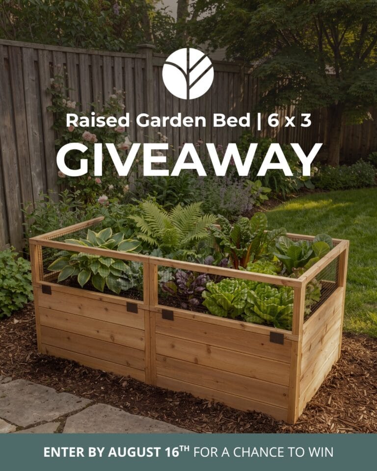 Fall Garden Giveaway