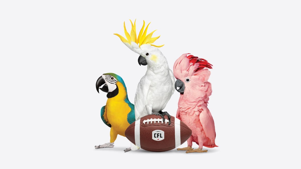 Win a trip to the 113th Grey Cup