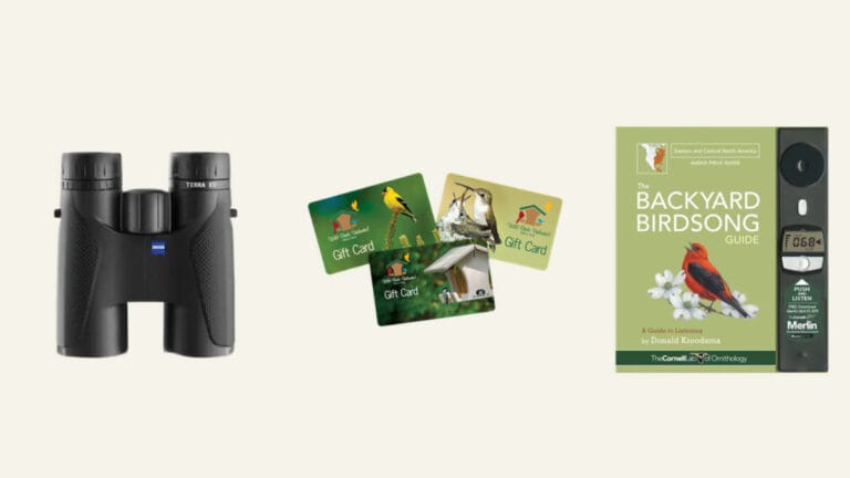 Win ZEISS Terra ED Binoculars and $50 WBU Gift Card + Backyard Birdsong Guide