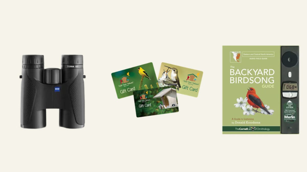 Win ZEISS Terra ED Binoculars and $50 WBU Gift Card + Backyard Birdsong Guide
